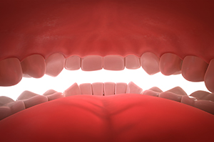 Inside the Oral Cavity