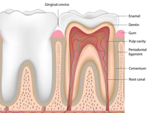 The Good News About a Root Canal
