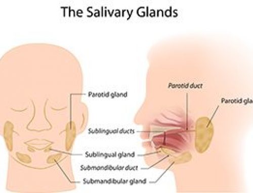 What’s In Saliva?